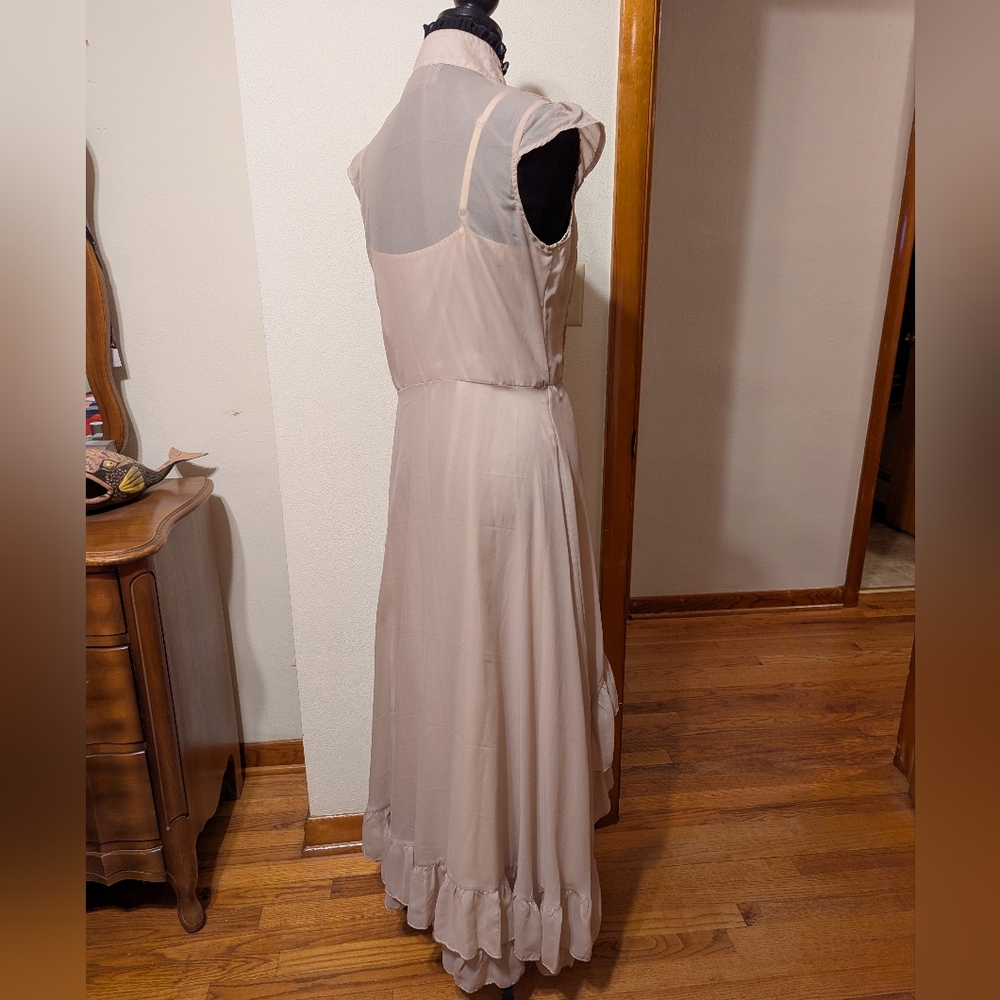 Voodoo Vixen Antique Pink Cream Victorian Goth High Low Vintage Unique Gown - Picture 4 of 10